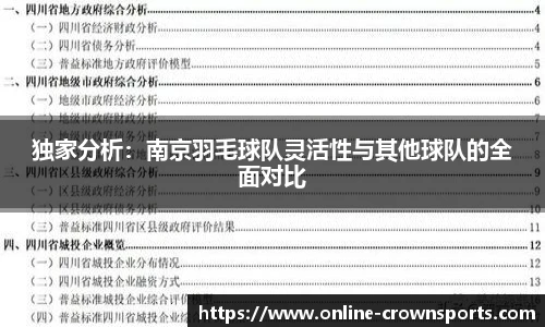 独家分析：南京羽毛球队灵活性与其他球队的全面对比